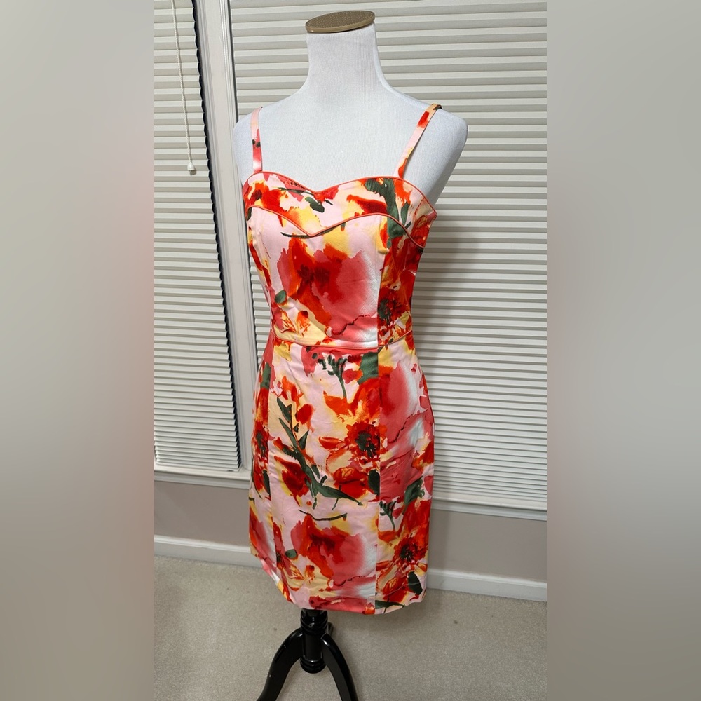 Floral Kristin Davis Sundress Sz10